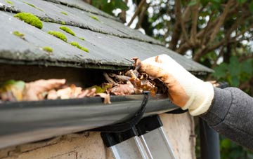 gutter cleaning Milton Of Finavon, Angus